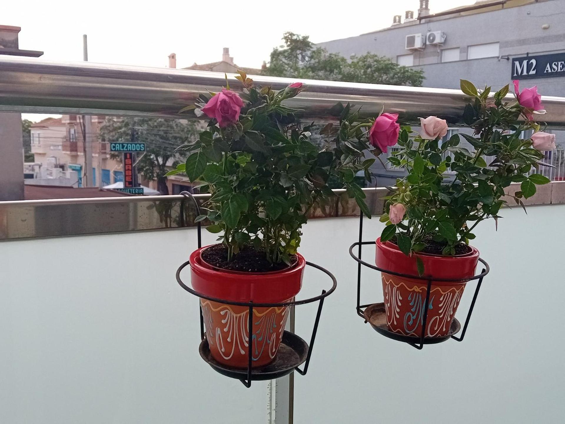 El Estudio De Las Mariposas,Sofa Cama , Cocina Y Bano Partida de La Cañada Εξωτερικό φωτογραφία
